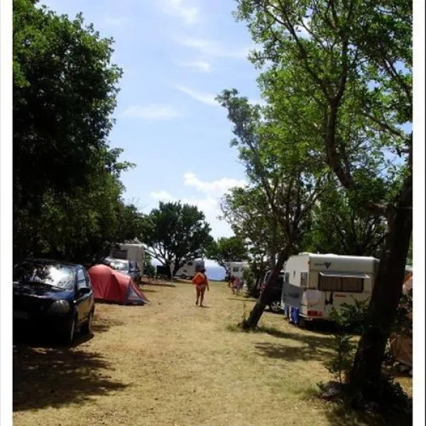 camping-kozica-klenovica-syni1