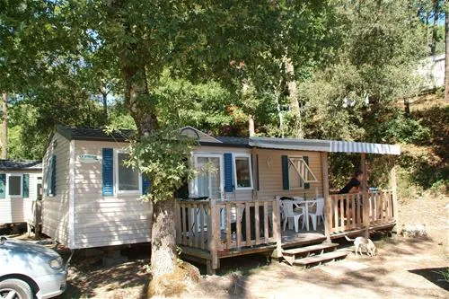 les-pins-de-la-coubre-mathes-5c3ox