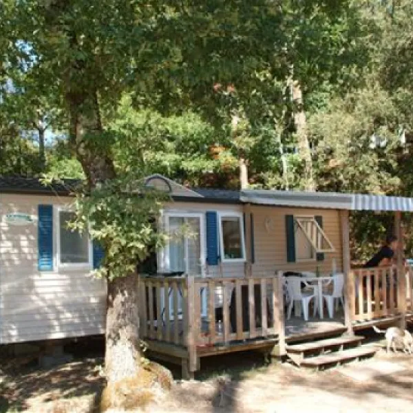 les-pins-de-la-coubre-mathes-5c3ox