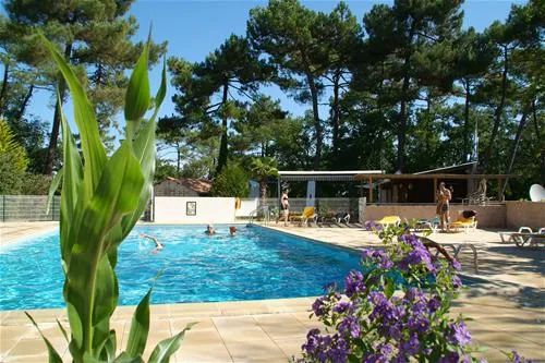 les-pins-de-la-coubre-mathes-h1mrg