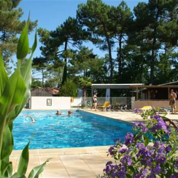 les-pins-de-la-coubre-mathes-h1mrg