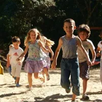 Les Pins De La Coubre  