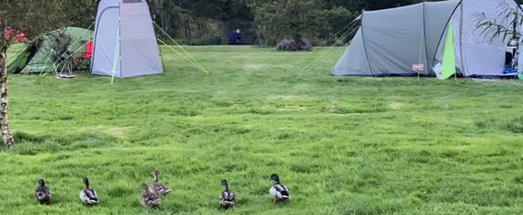 Glentrool Camping and Caravan Site