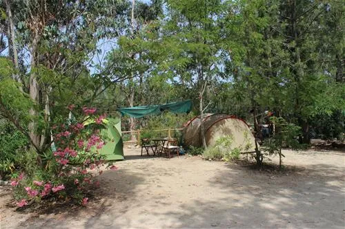 camping-u-rosumarinu-solenzara-000tx