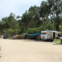 camping-u-rosumarinu-solenzara-bxuyo
