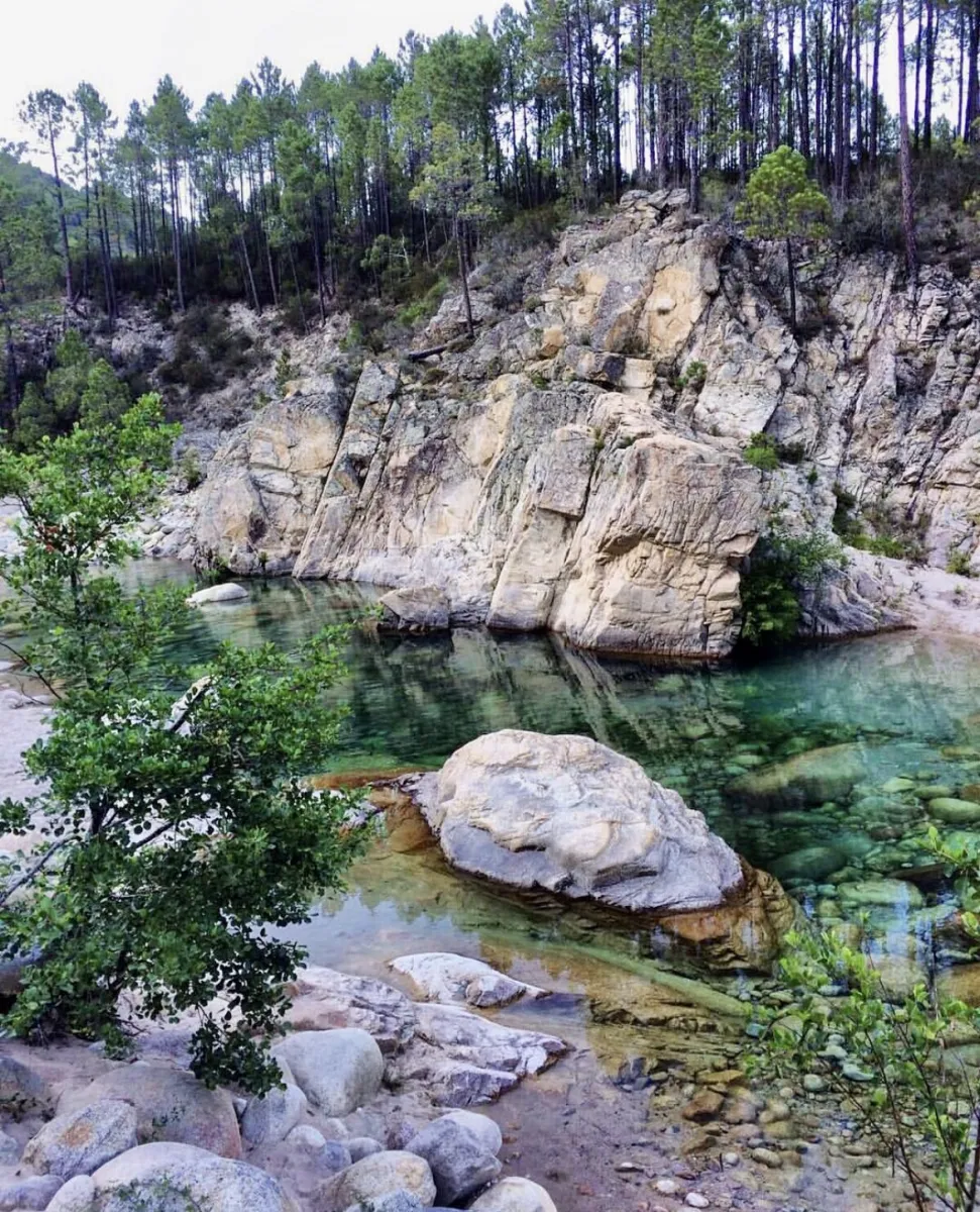 camping-u-rosumarinu-solenzara-cbr06