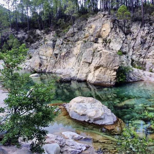 camping-u-rosumarinu-solenzara-cbr06