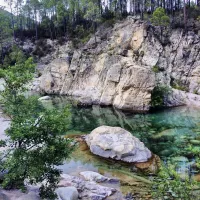 camping-u-rosumarinu-solenzara-cbr06