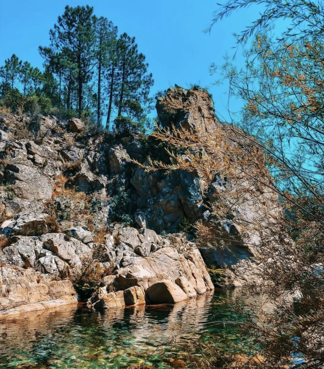 camping-u-rosumarinu-solenzara-dzre0