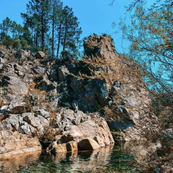 camping-u-rosumarinu-solenzara-dzre0