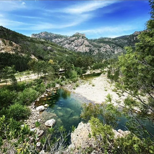 camping-u-rosumarinu-solenzara-swjl7