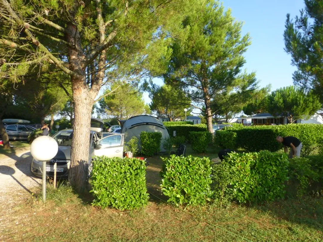 camping-manon-vaucluse-gsvqm