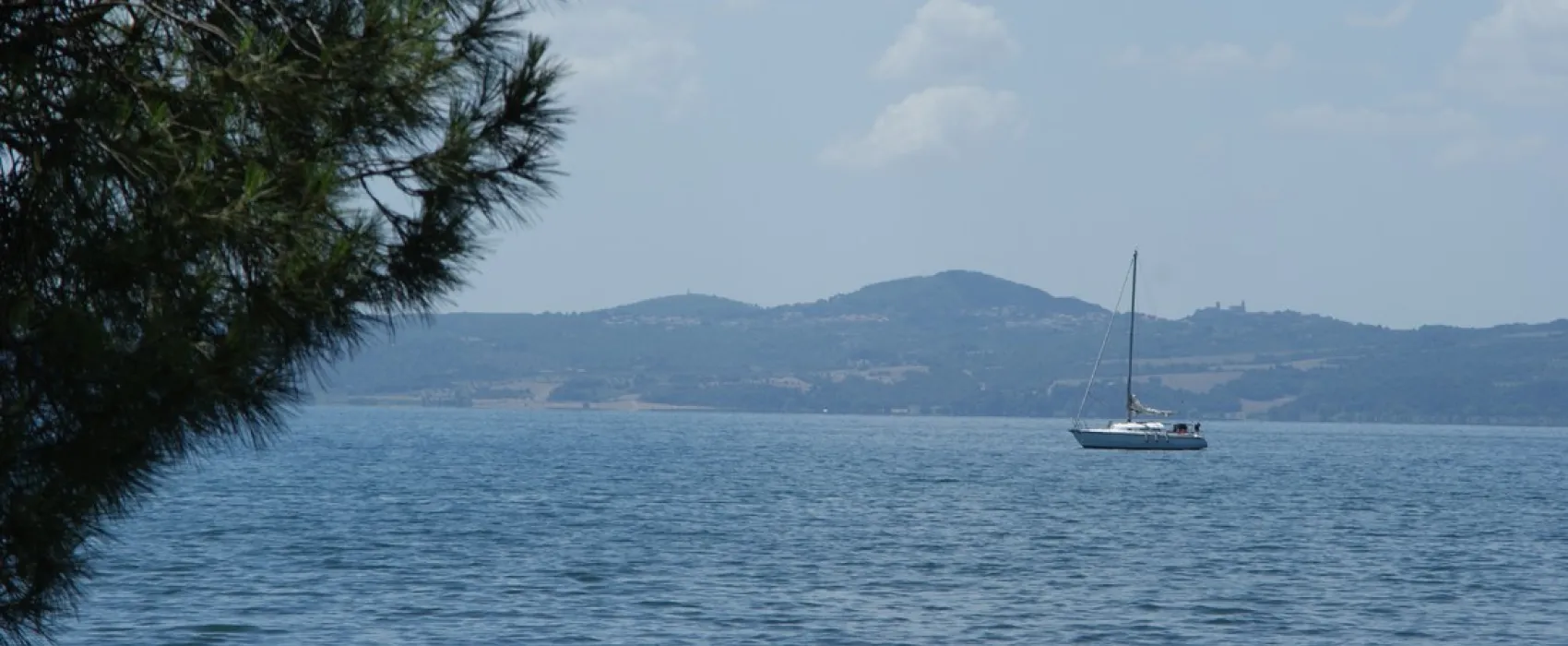 Camping Pineta