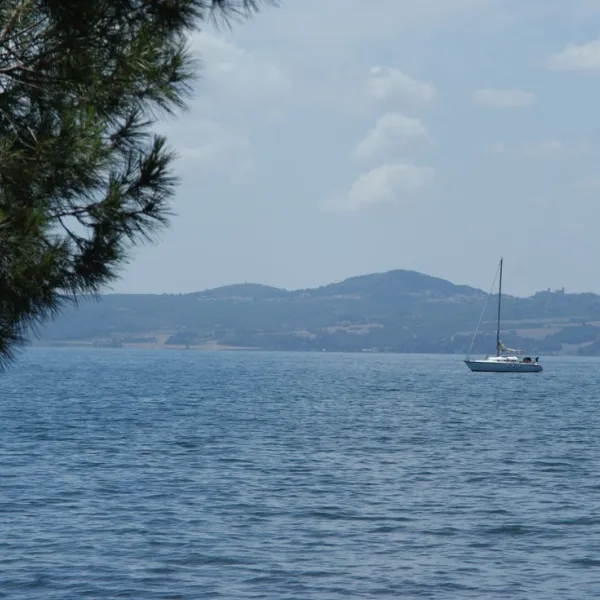 Camping Pineta