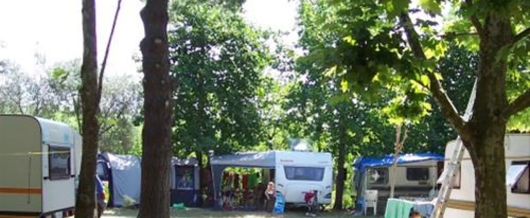 Camping Pineta