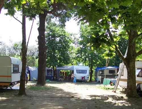 camping-pineta-bolsena-qwhai