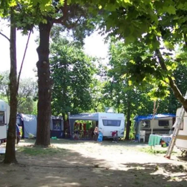 Camping Pineta