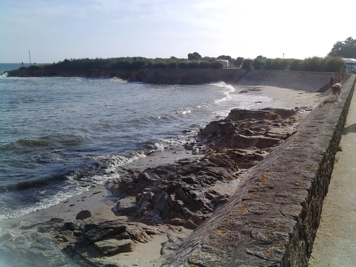camping-municipal-la-lande-gavres-f4p9l