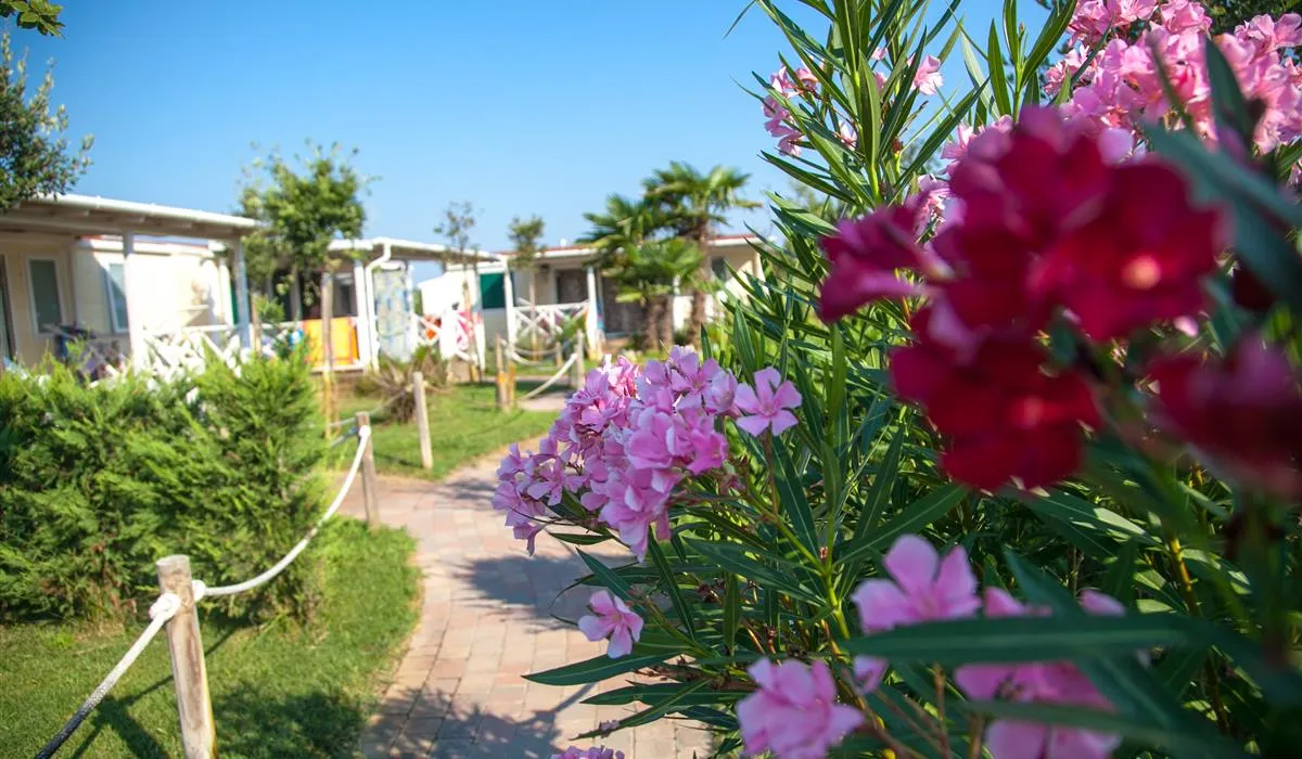 camping-atlanta-sottomarina-uaycz