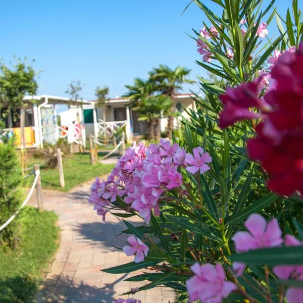 camping-atlanta-sottomarina-uaycz