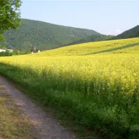 campingplatz-nahetal-oberhausen-uiuvi