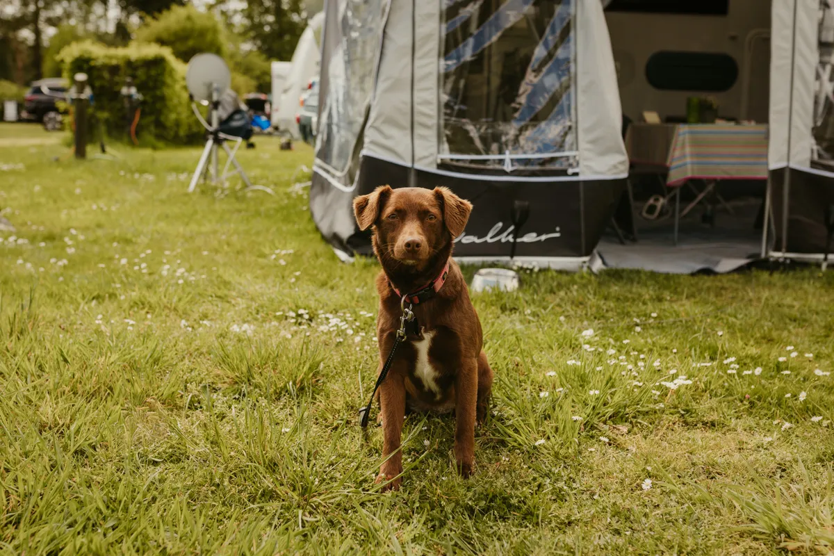 2025-05-03 - Carina Horn Photography - Fotoshooting - Camping Emstal - web 0071