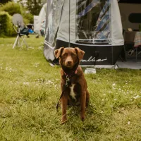 2025-05-03 - Carina Horn Photography - Fotoshooting - Camping Emstal - web 0071