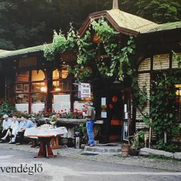 zugligeti-niche-camping-budapest-gvbbs