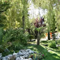 i-tre-moschettieri-camping-village-lido-di-pomposa-7gkdy