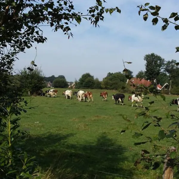 camping-erve-wiegink-ootmarsum-meoky