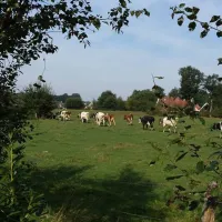 camping-erve-wiegink-ootmarsum-meoky