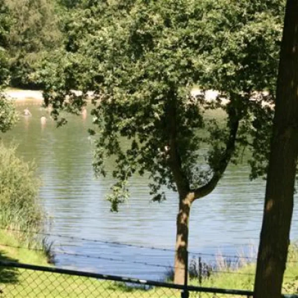 droompark-maasduinen-belfeld-t2jud