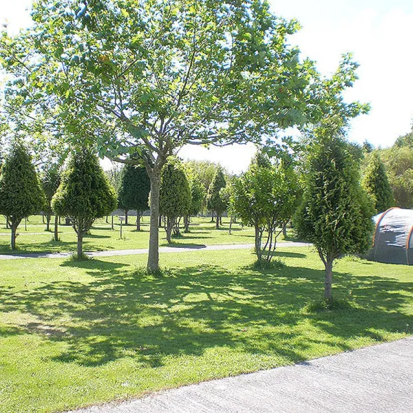 camping-ribadeo-ribadeo-gssdi