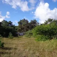 campingplatz-drewoldke-altenkirchen-6w3n0
