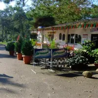campingplatz-drewoldke-altenkirchen-hqlox