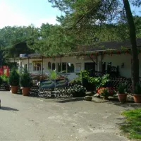 campingplatz-drewoldke-altenkirchen-uils0