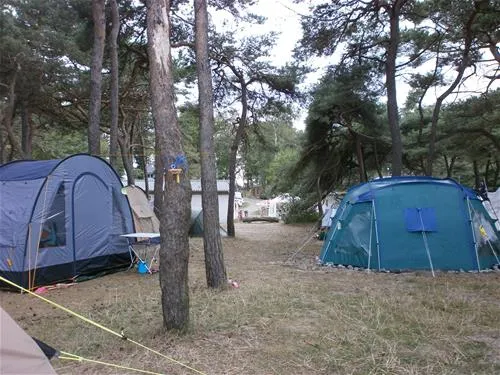 campingplatz-drewoldke-altenkirchen-uuk2v