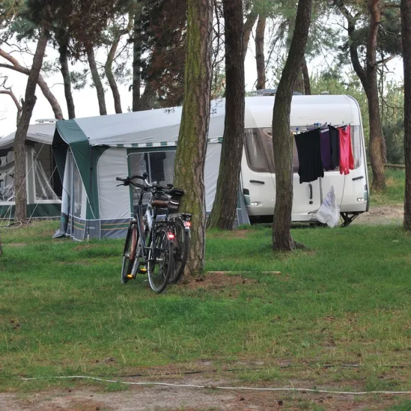 campingplatz-drewoldke-altenkirchen-ygl1a