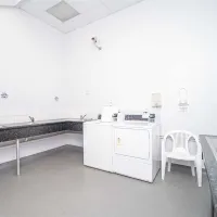 whitemead-caravan-park-wareham-imov6