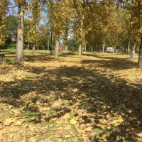 camping-national-6-uchizy-r48eb