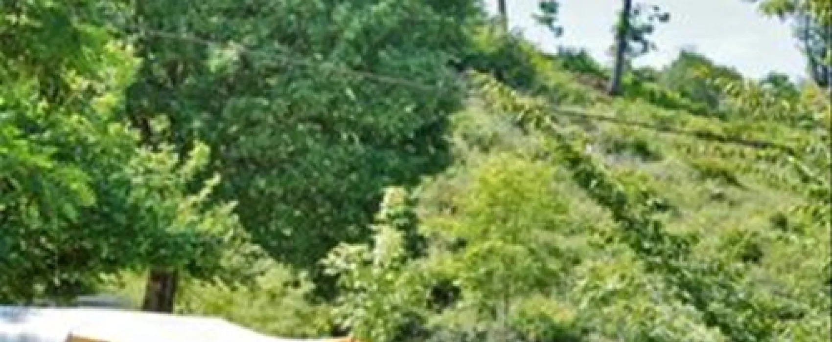 Camping Les Acacias/ Sarlat  