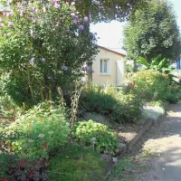 camping-des-iles-st-julien-du-sault-ayd9t
