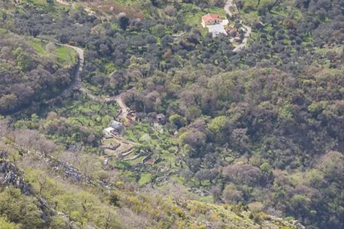 bartula--my-olive-garden-camp-stari-bar-3bfqx