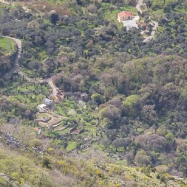 bartula--my-olive-garden-camp-stari-bar-3bfqx