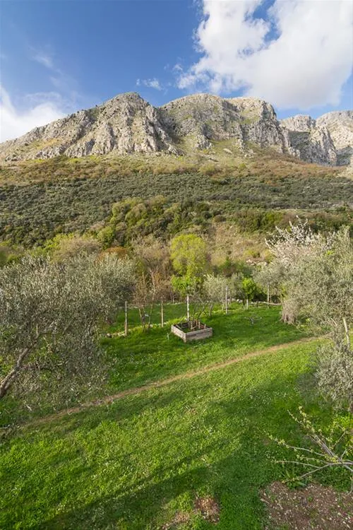 bartula--my-olive-garden-camp-stari-bar-4ipdp