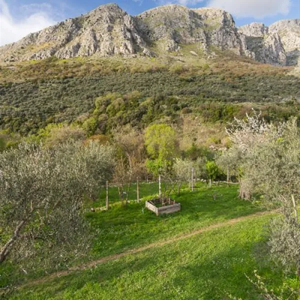 bartula--my-olive-garden-camp-stari-bar-4ipdp