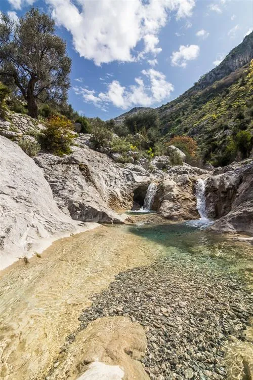 bartula--my-olive-garden-camp-stari-bar-dgzkr