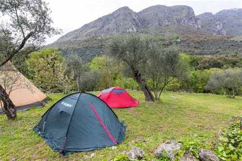 bartula--my-olive-garden-camp-stari-bar-dzunl