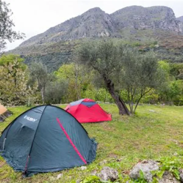 bartula--my-olive-garden-camp-stari-bar-dzunl