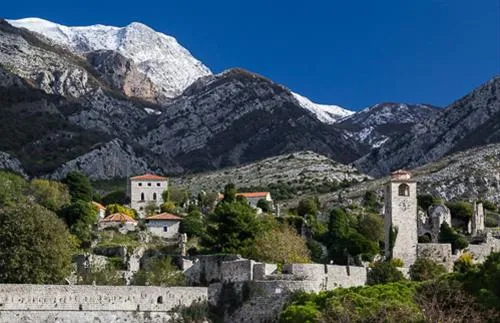 bartula--my-olive-garden-camp-stari-bar-e2fcf